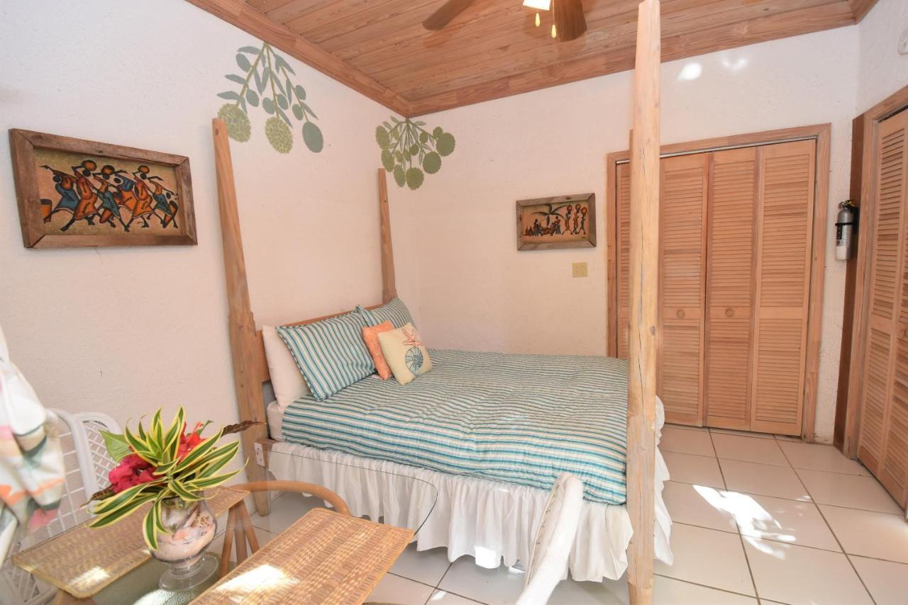 The Sugar Apple Lodging Dunmore Town Esterno foto
