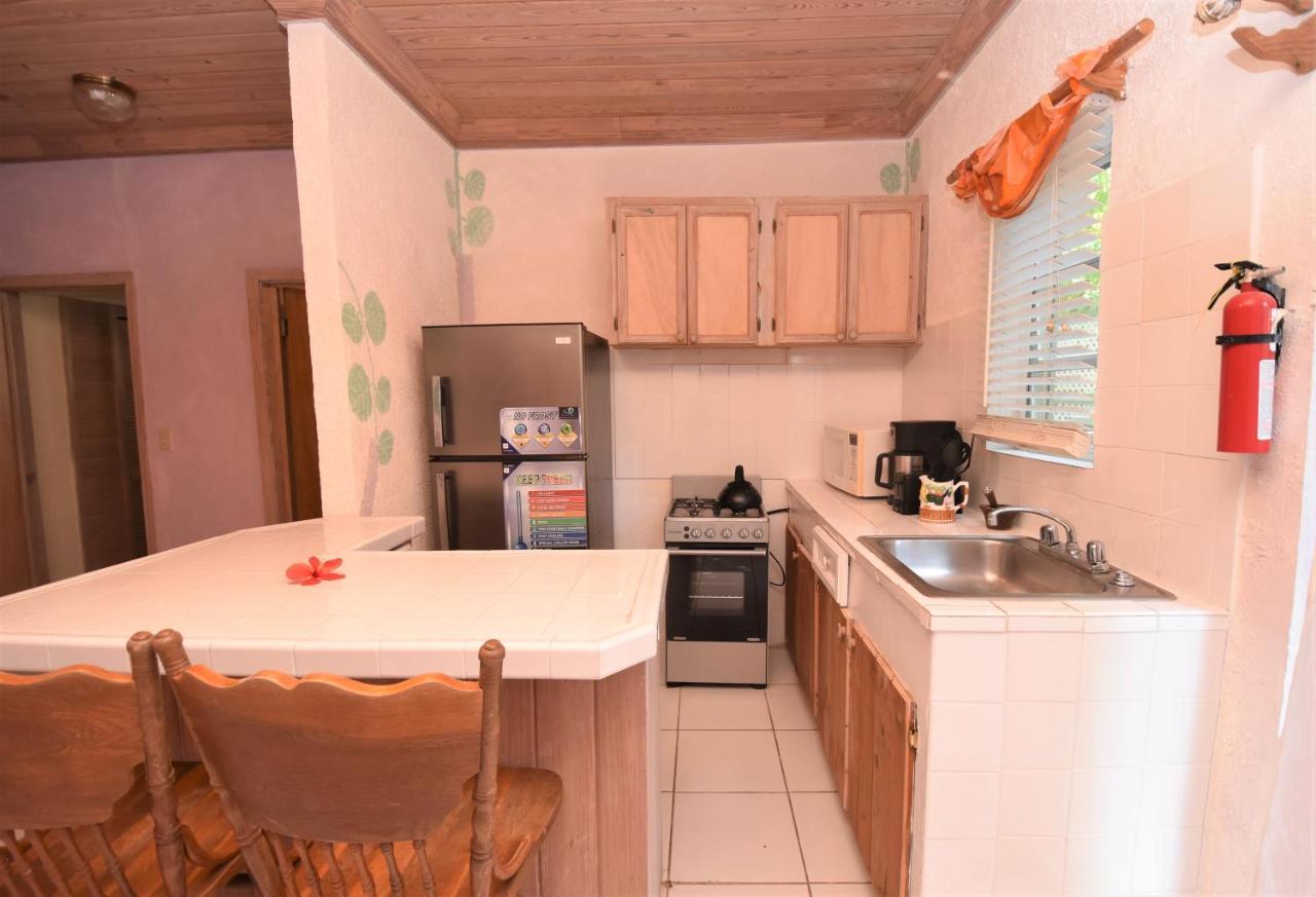 The Sugar Apple Lodging Dunmore Town Esterno foto
