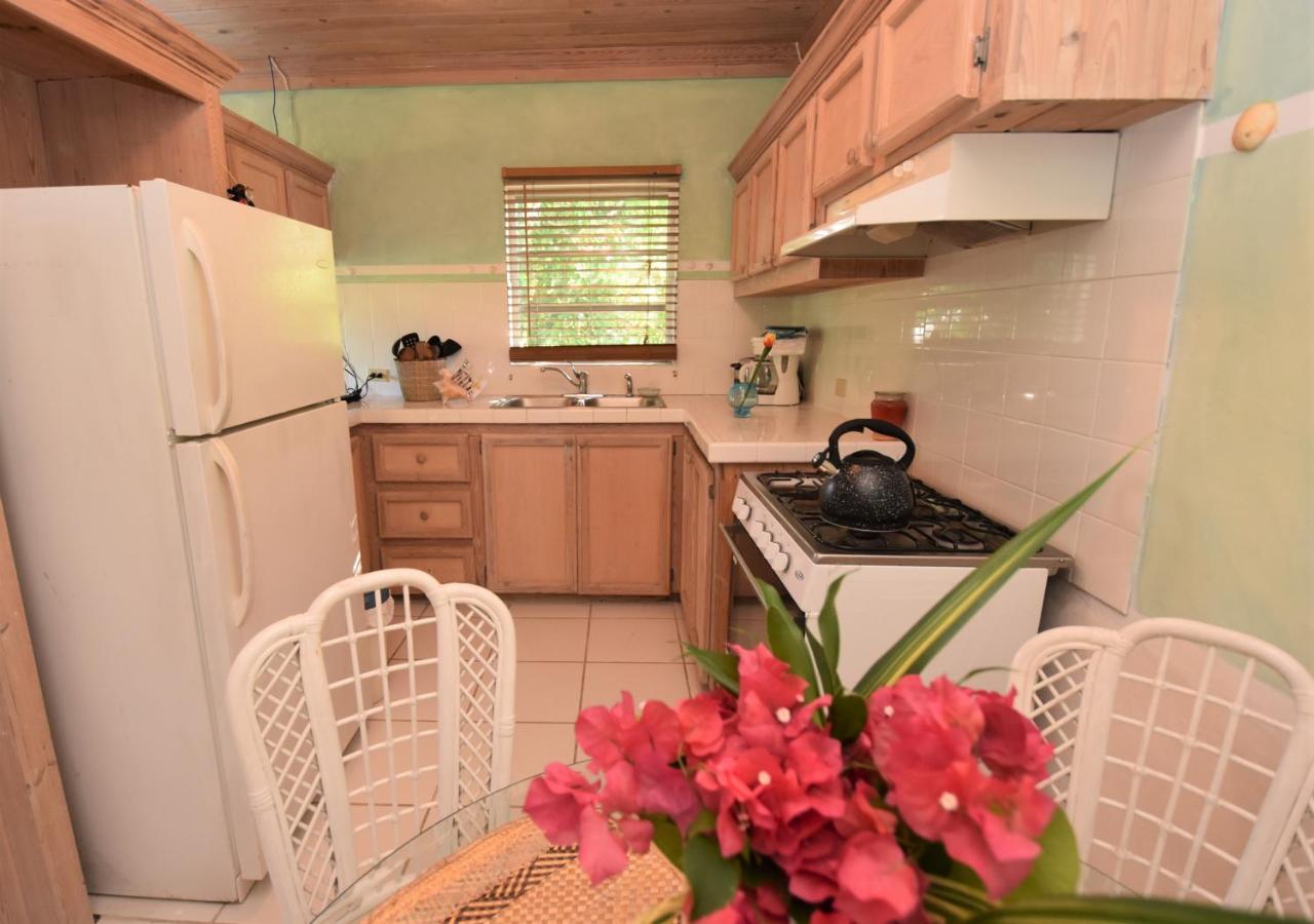 The Sugar Apple Lodging Dunmore Town Esterno foto